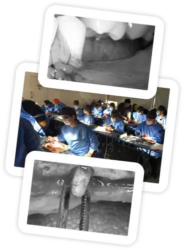 A bone block fixed in place, and a full lecture room during a course