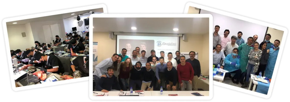 Groups of participants at the end of three previous editions of the course